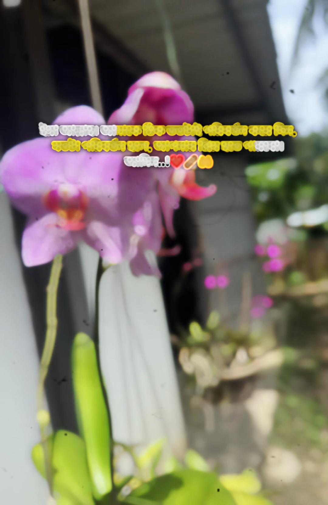 @Mohd sayful ๐โค๏ธ๐ฅ