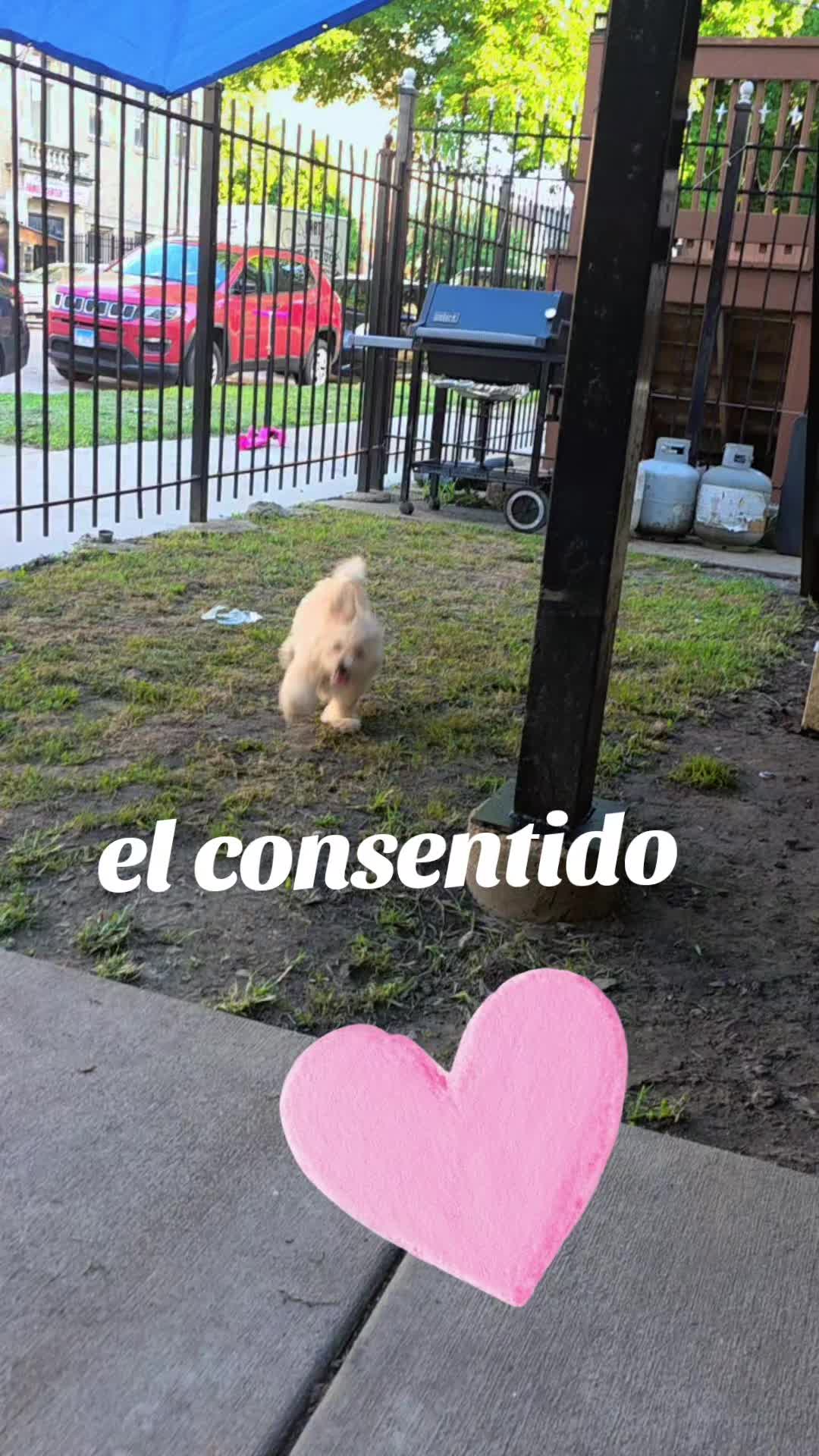 @Noriuska Calderon