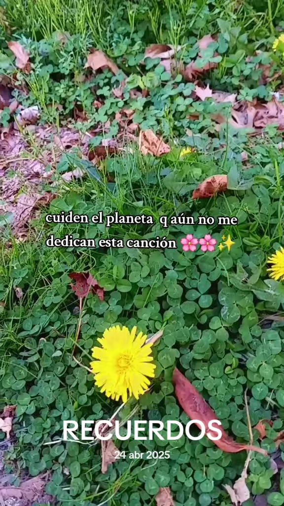 @belensita