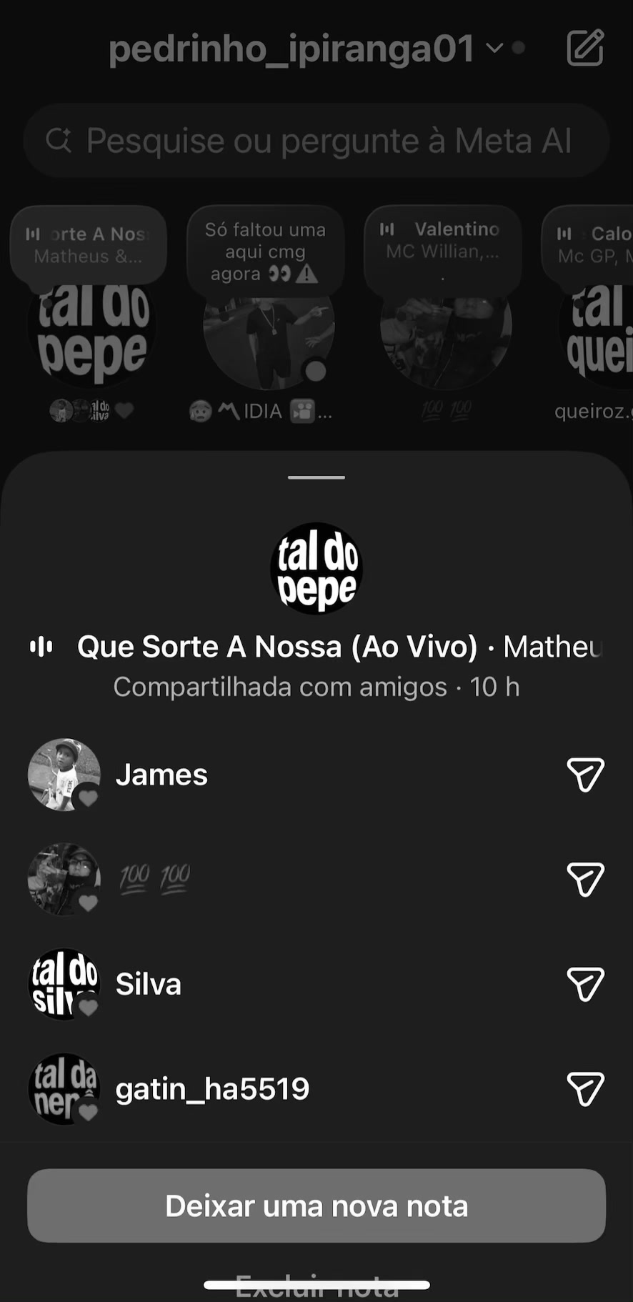 @vulgo_pedrinho@