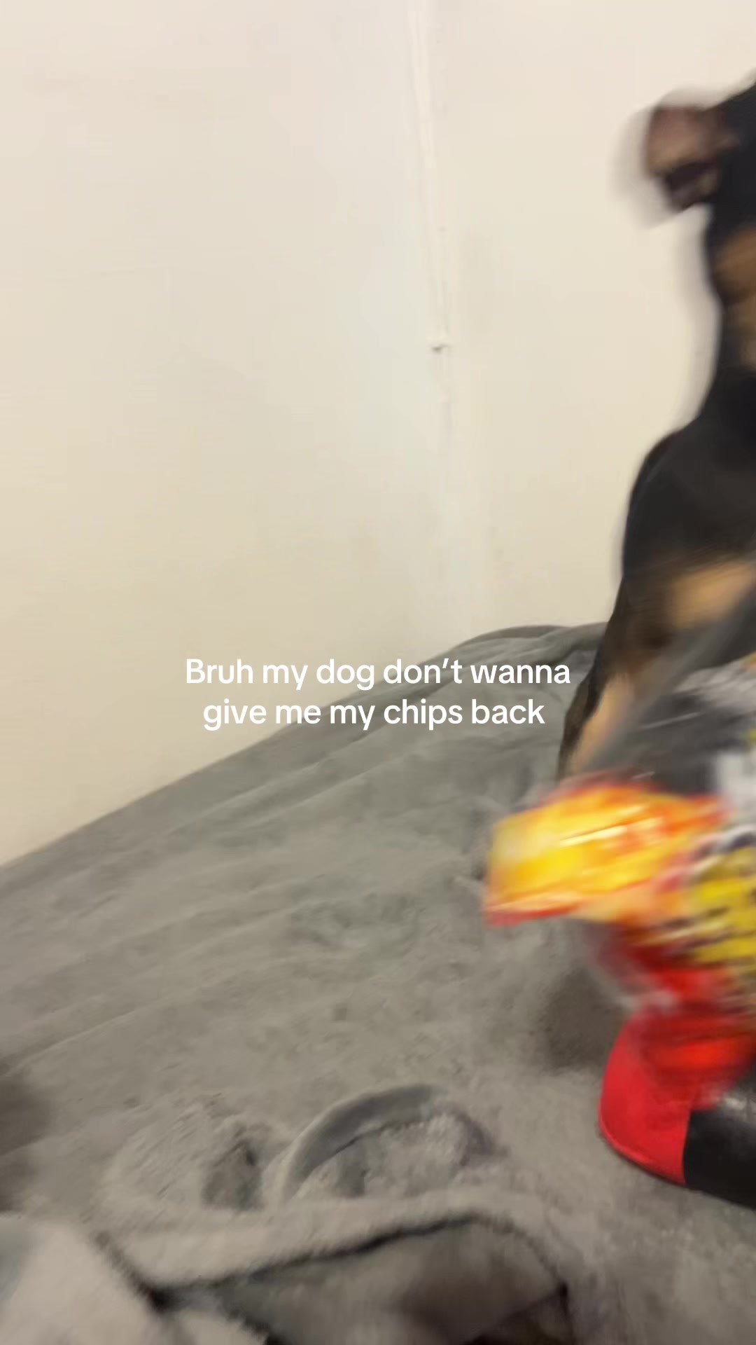 @jcortez714