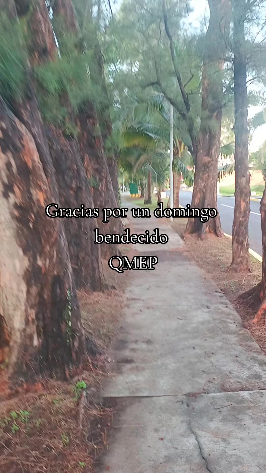 @Edgar Guzmán|Asesor Automotriz