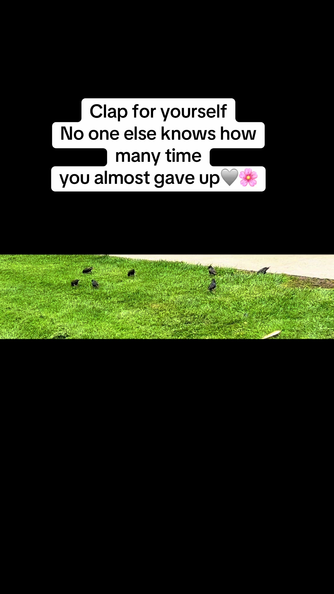 @Life in USA 🇺🇸