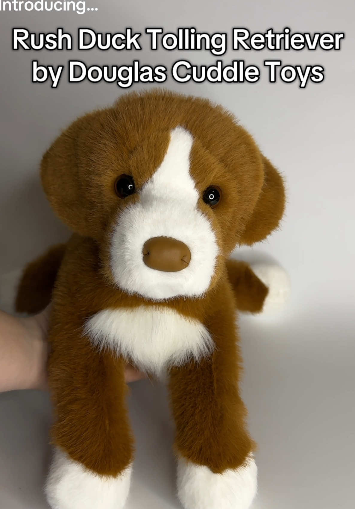 @Wonder Wolf Plush