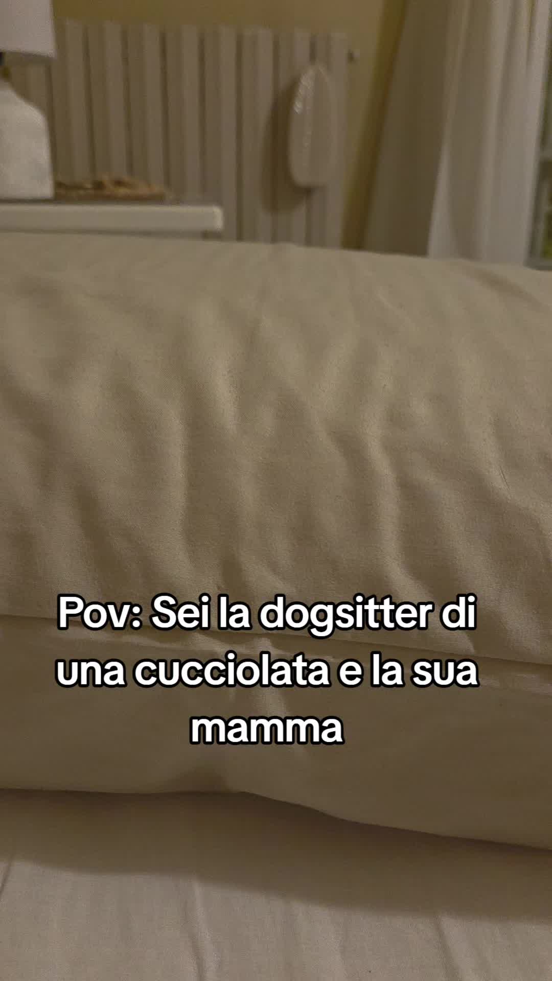 @Itsserena