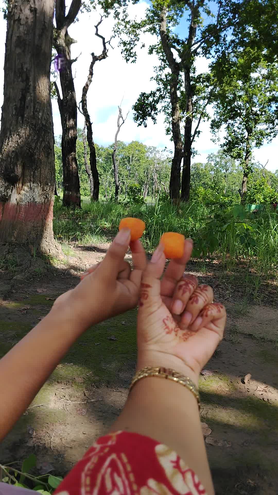@sirjanapoudel