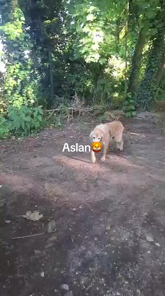@Manuel,Aslan&Eddie🐾❤️