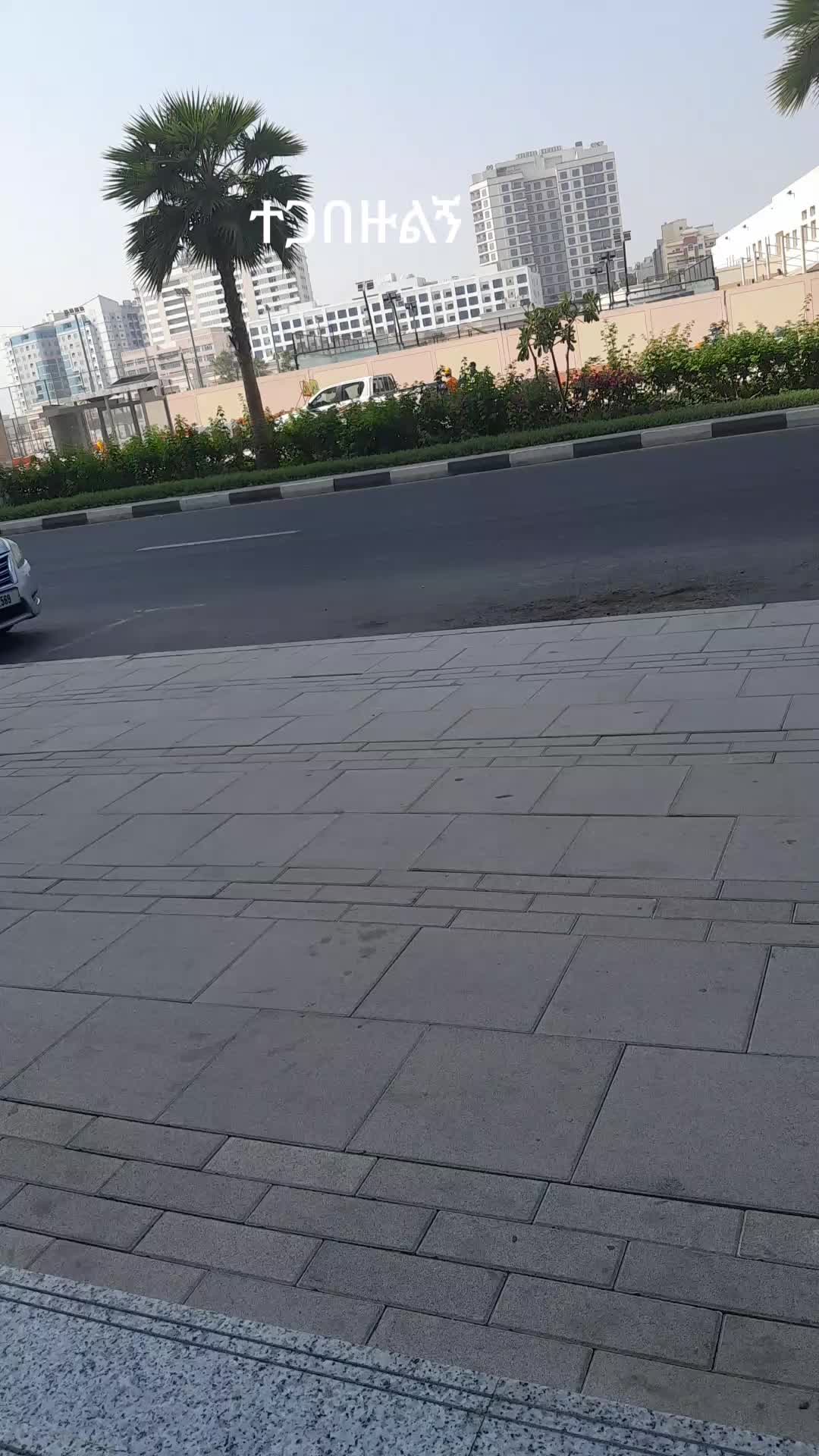 @ሸምስያ