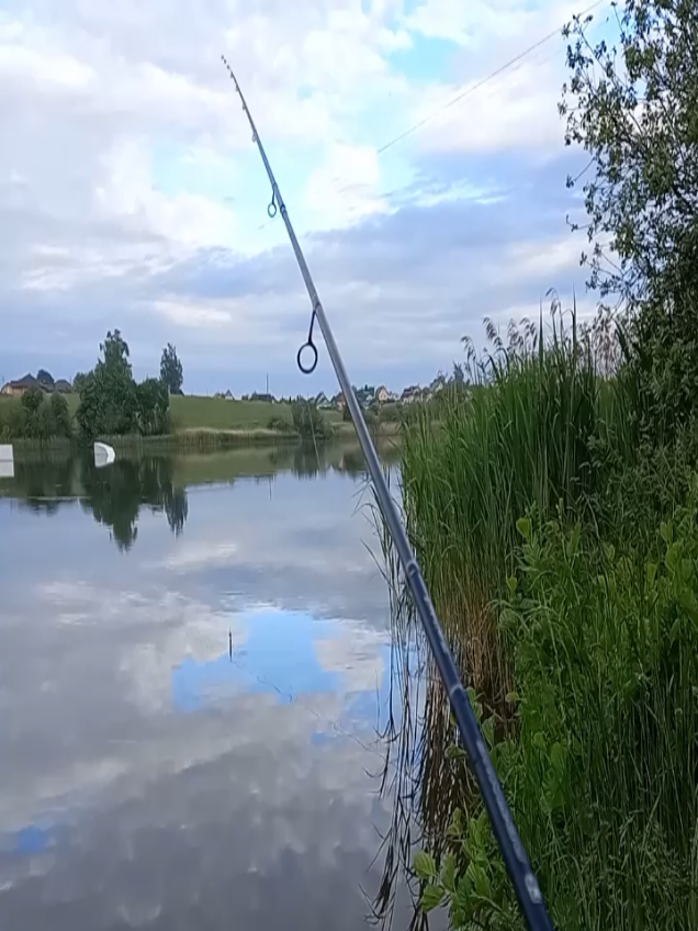 @TimaFish
