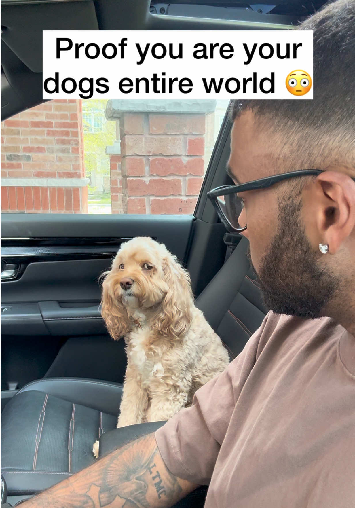 @LunaTheMiniCockapoo