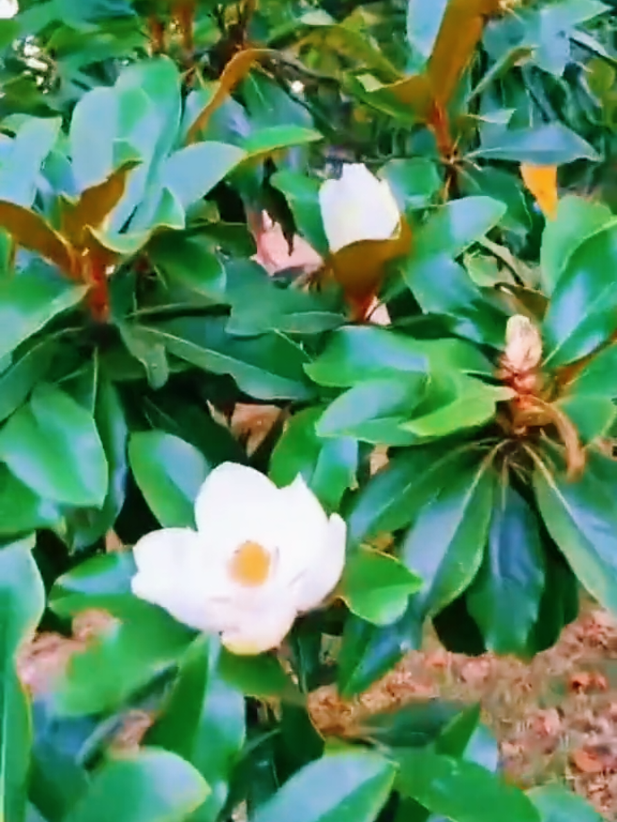 @Марина 🌹🍃