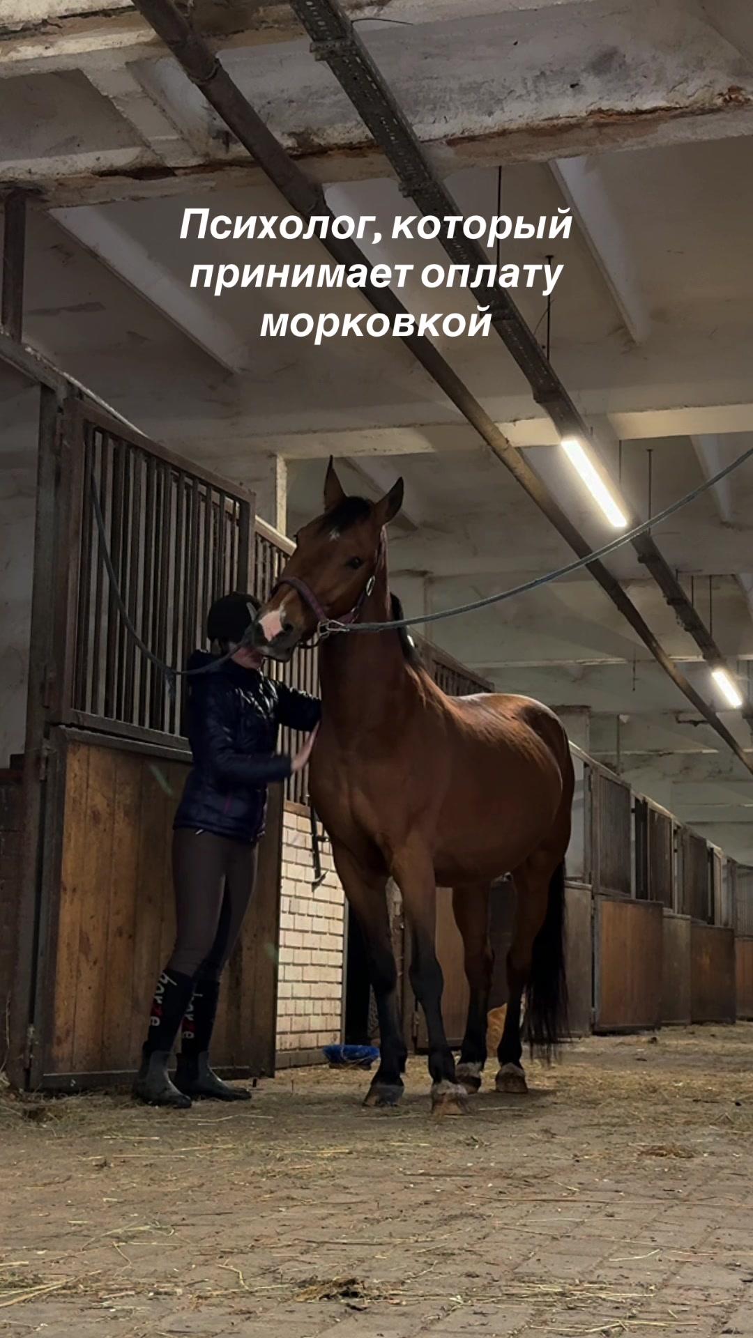 @Аня и Ладный