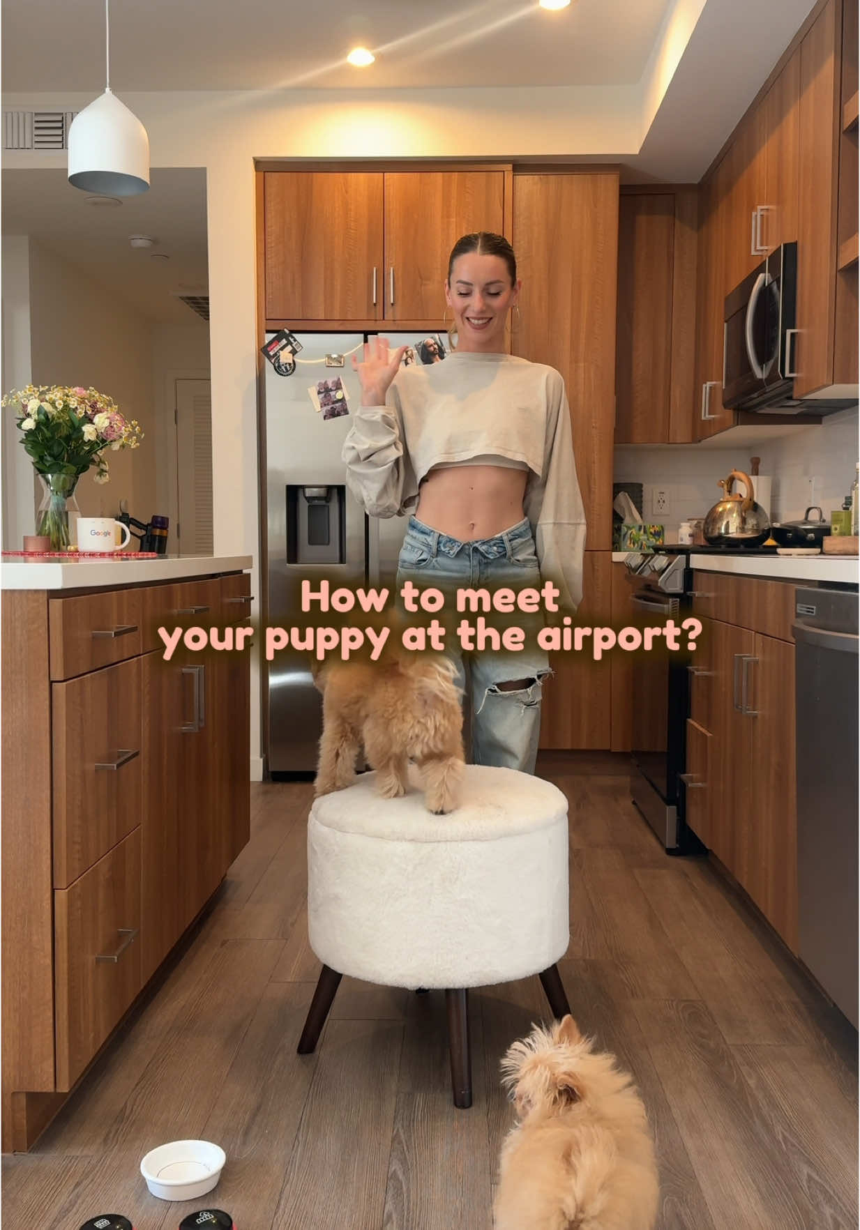 @pomapoo.barney