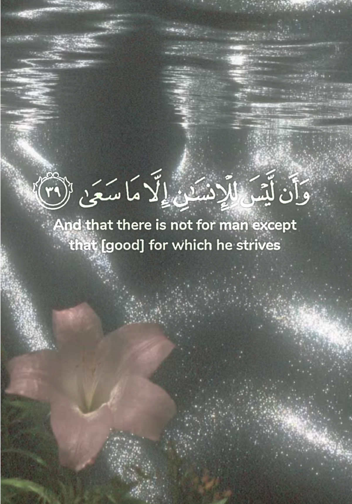 @‧ ₊˚&sdot;آرام&sdot;˚₊ ‧