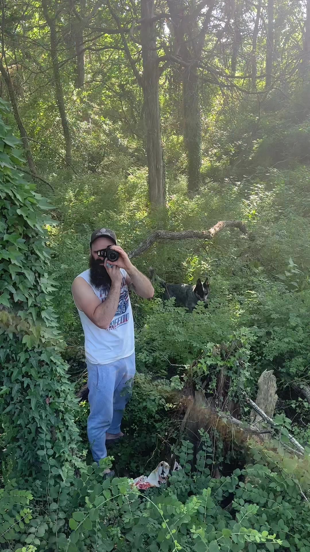@farmerandtheharpiist
