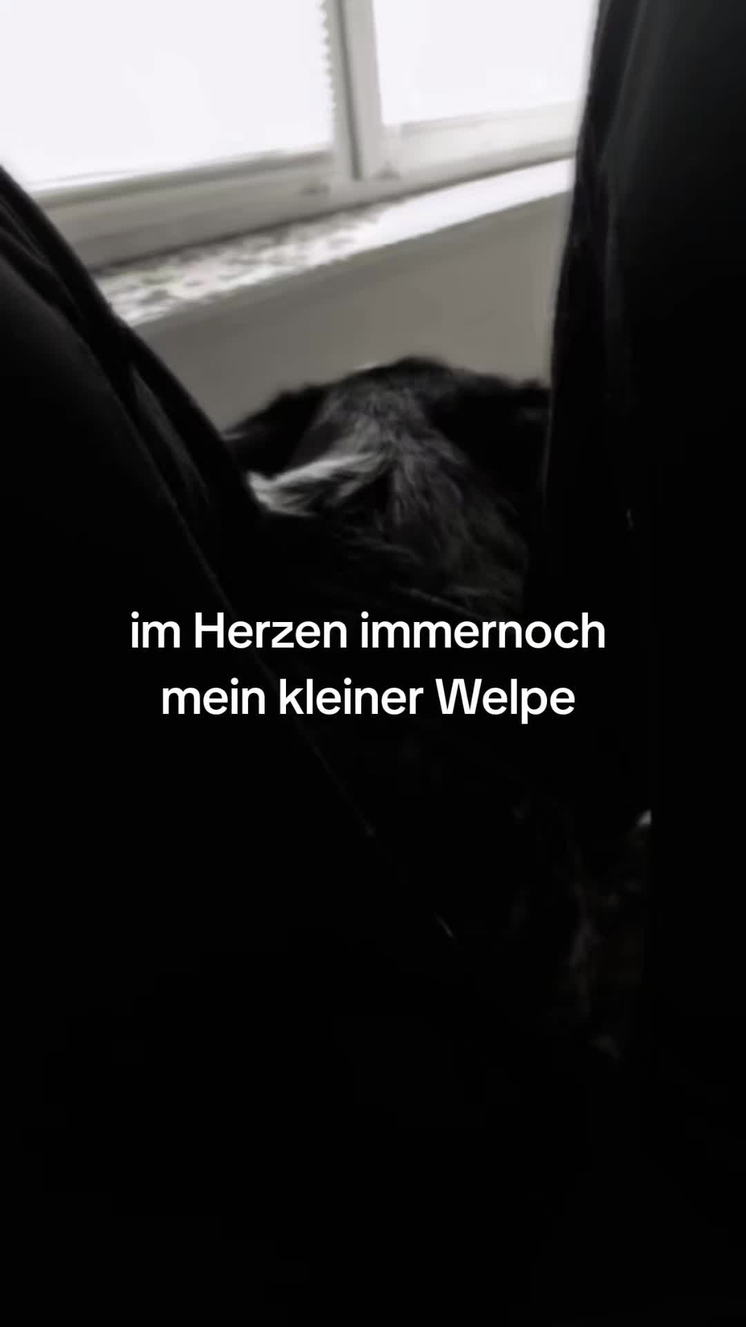 @Schattenfunke