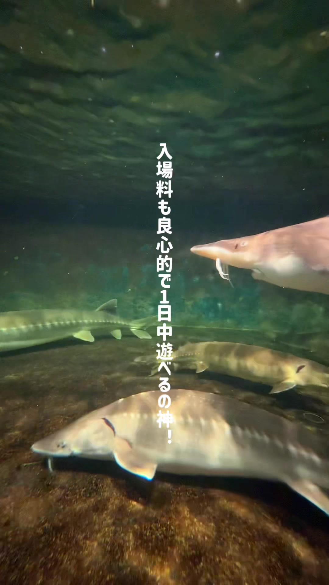 @KYOTO film | 京都の絶景