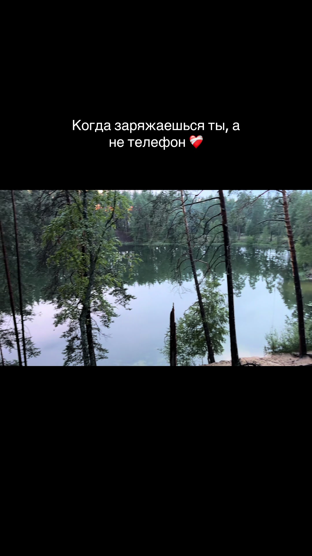 @Тгк: Истории Ариши 🎀