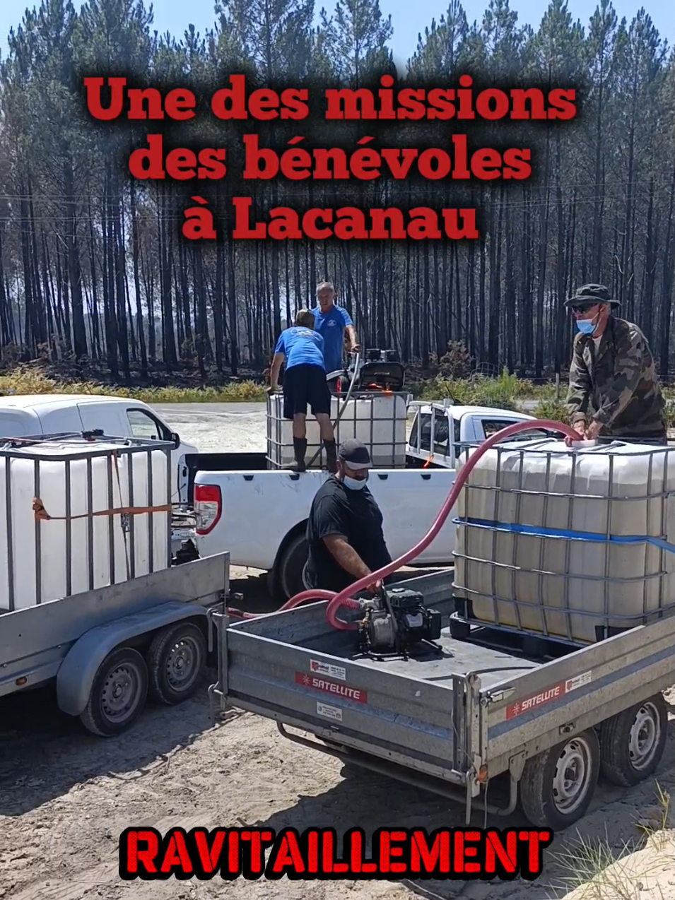 @Médoc Guêpes Frelons Services