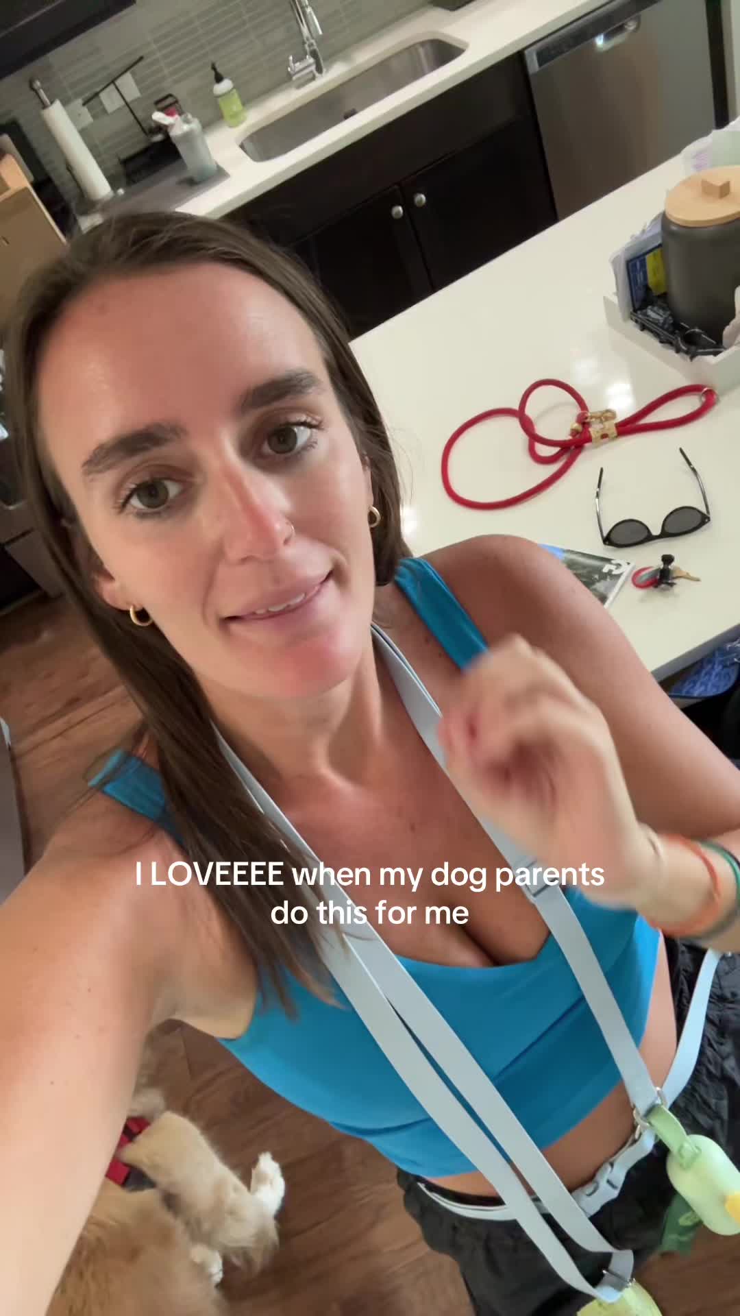 @dallasdogwalker