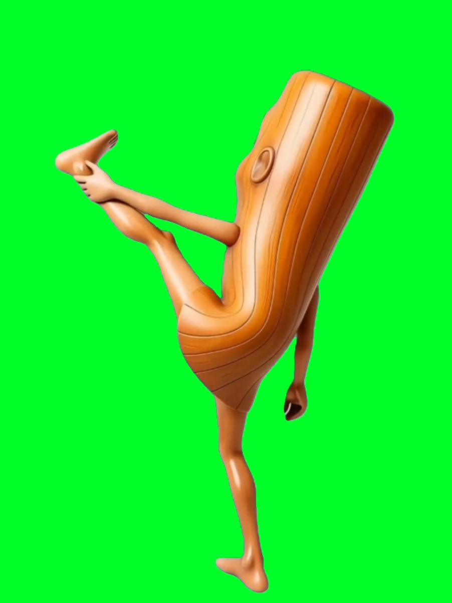 @TikTok Template