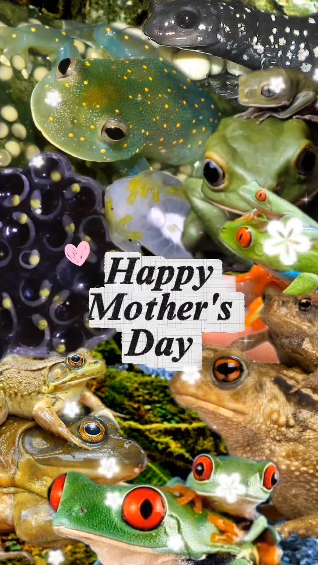 @frogs and autism