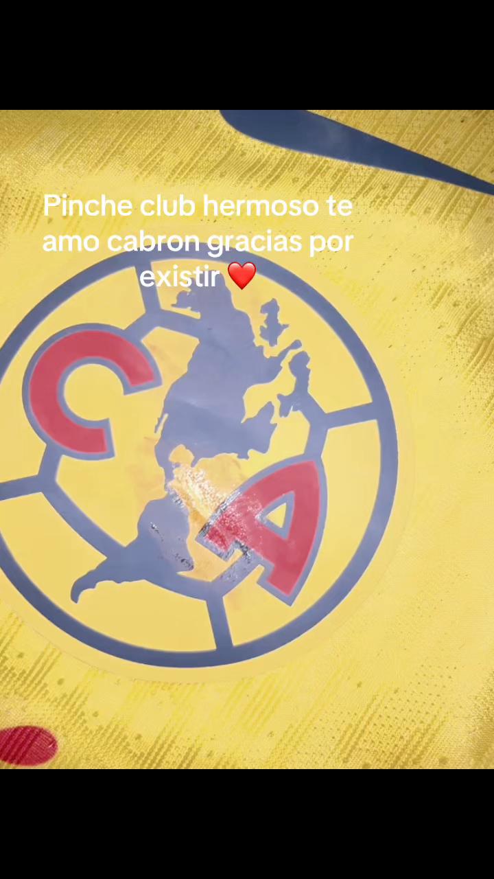 @Yocc✨🦅