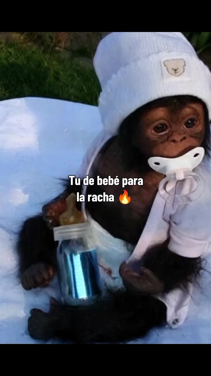 @RabPesito 🔥