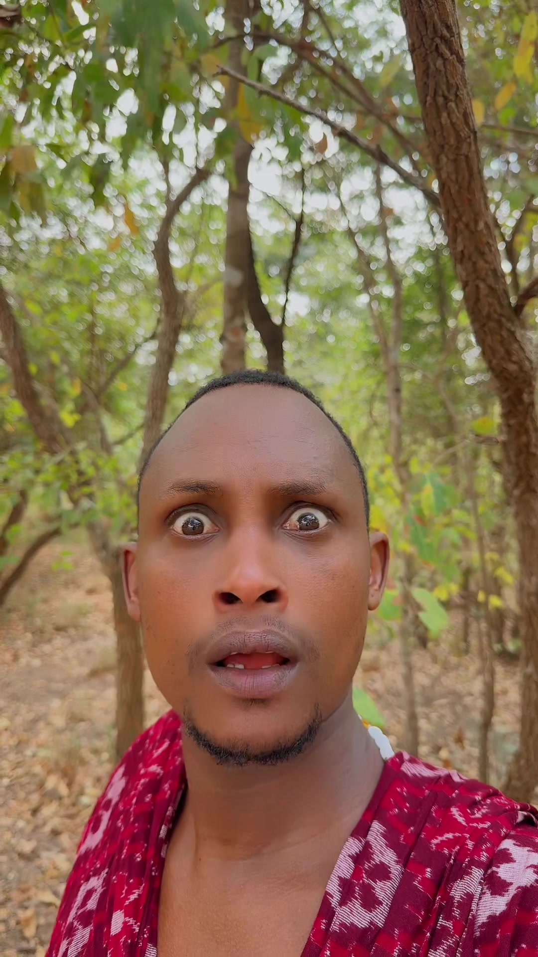 @SAIBOY