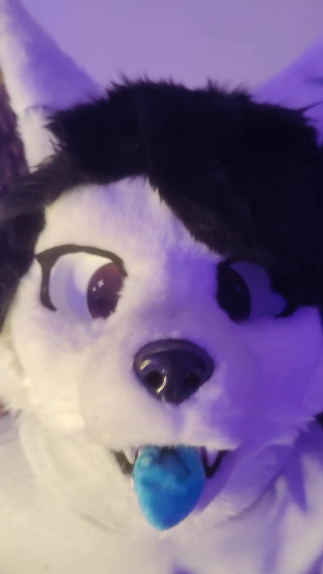 @PHAYCON