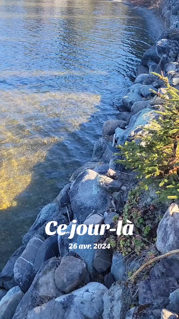 @Les Chroniques de Valen