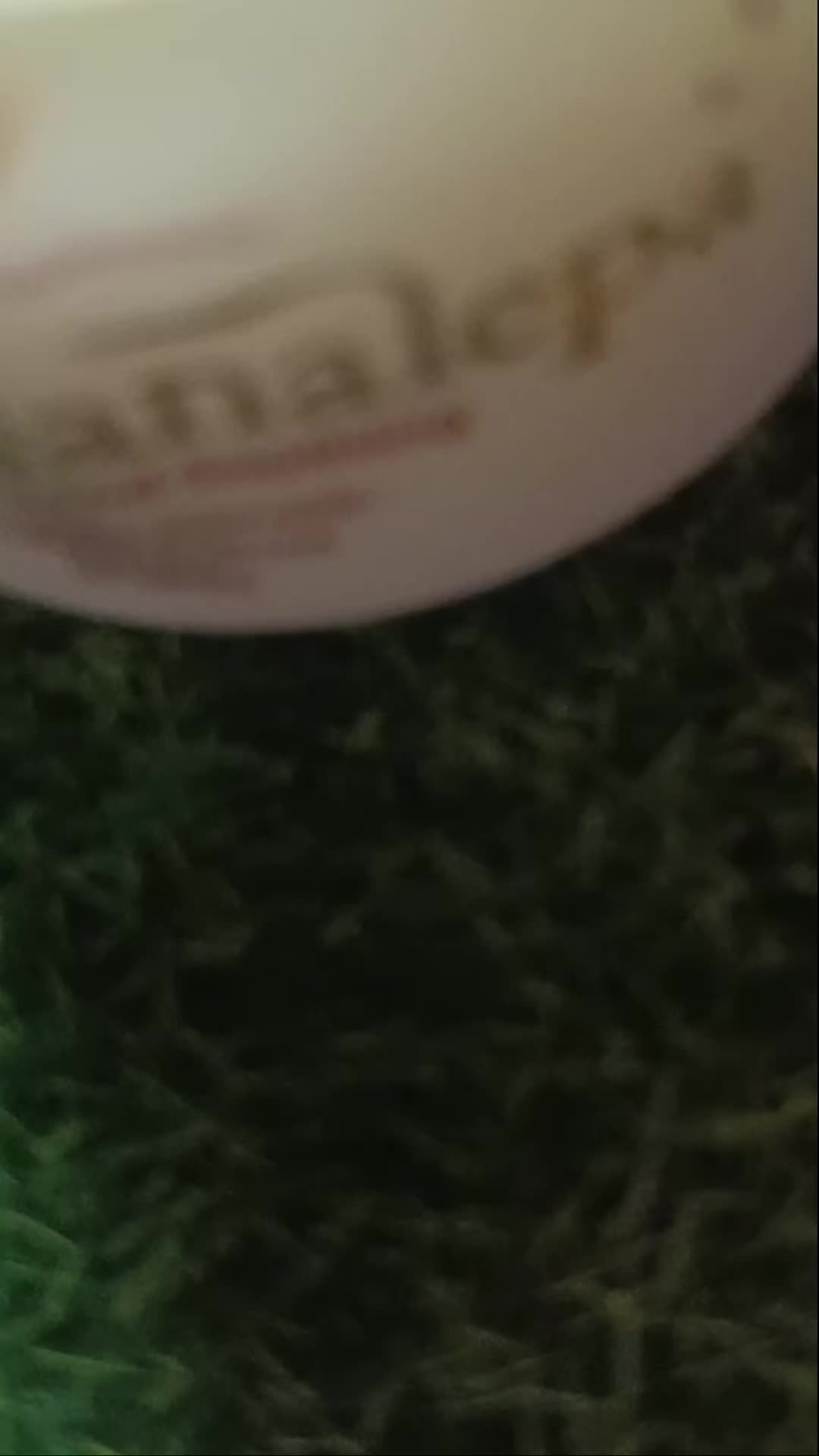 @Primalatha