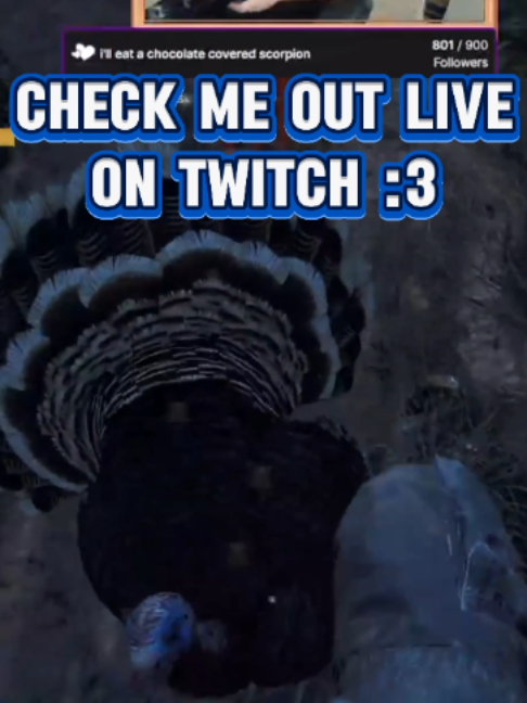 @TheBuffOtaku.ttv
