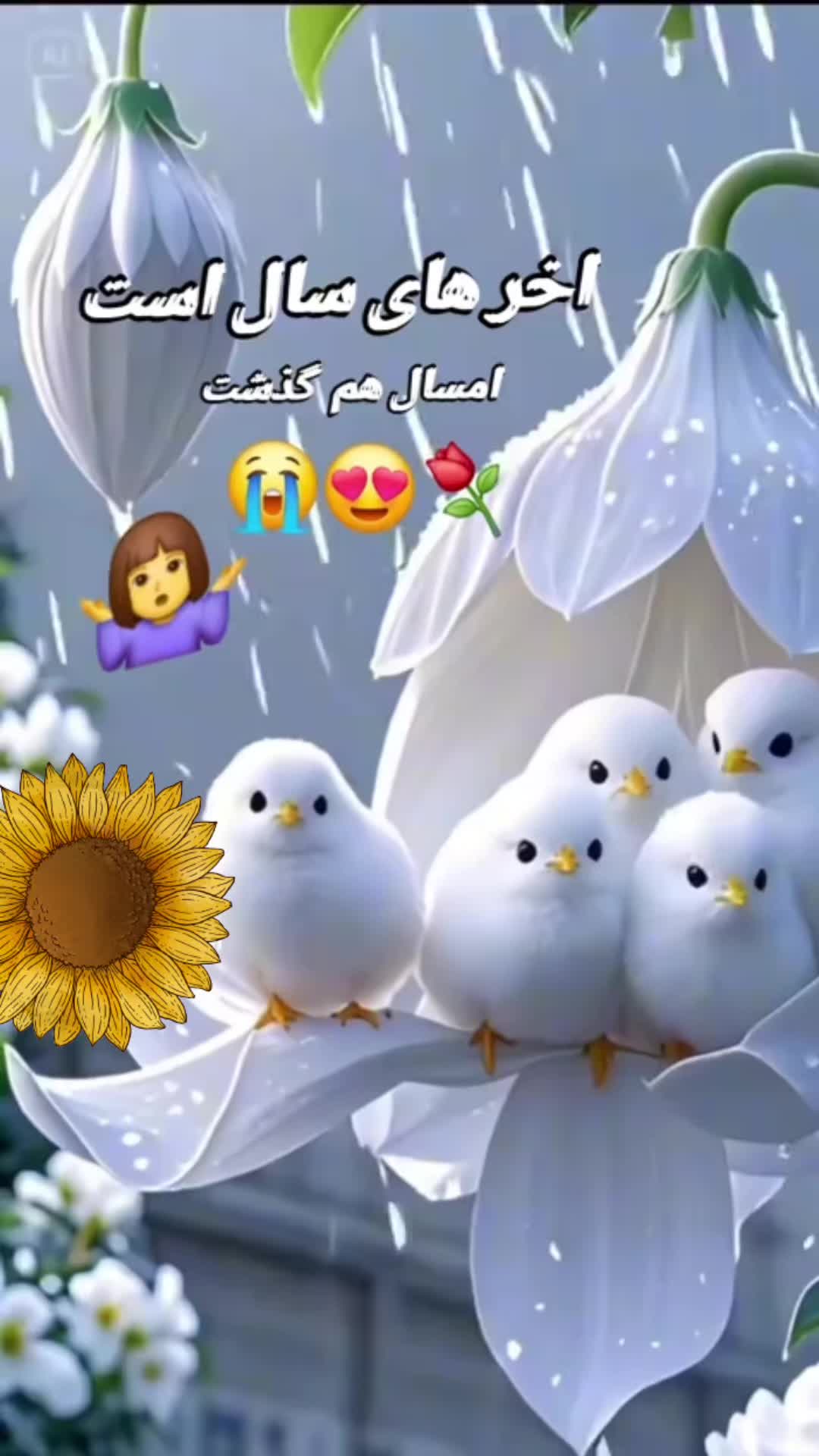 @ahmadsiddiqi