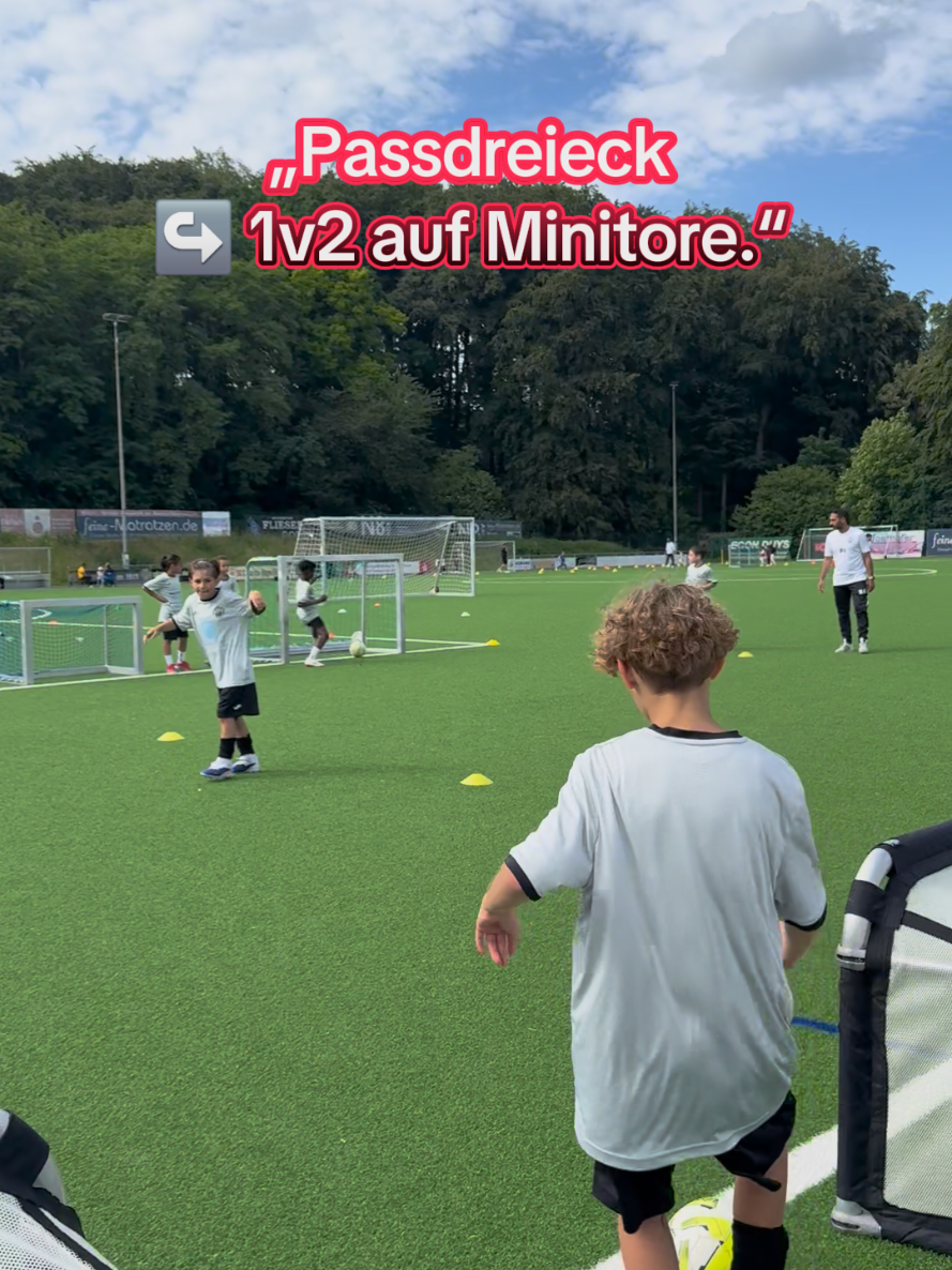 @die11erprofis 2017/18