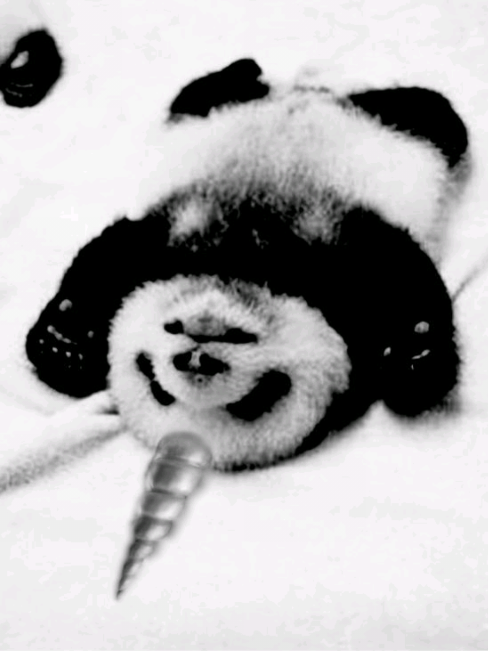 @๐ท๐ฎ๐ผ๐ผ๐ช ๐ผ