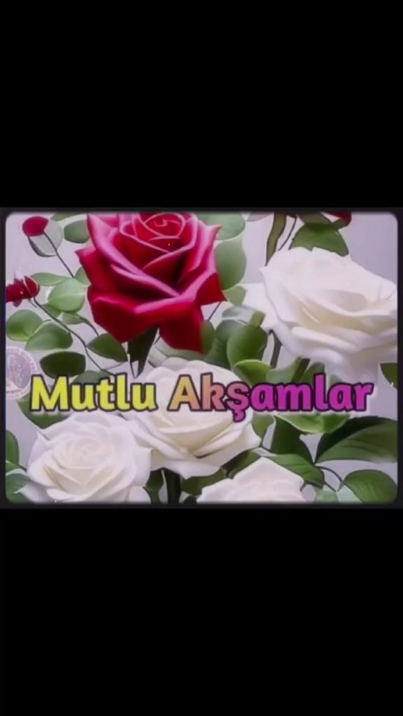 @03ŞAHİN03