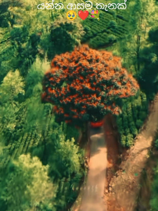 @❤️හා පැංචි❤️ 응 귀요미❤💐