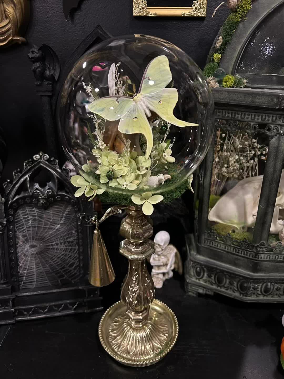 @Macabre Casket