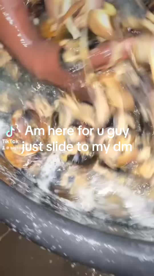 @Rachbaby