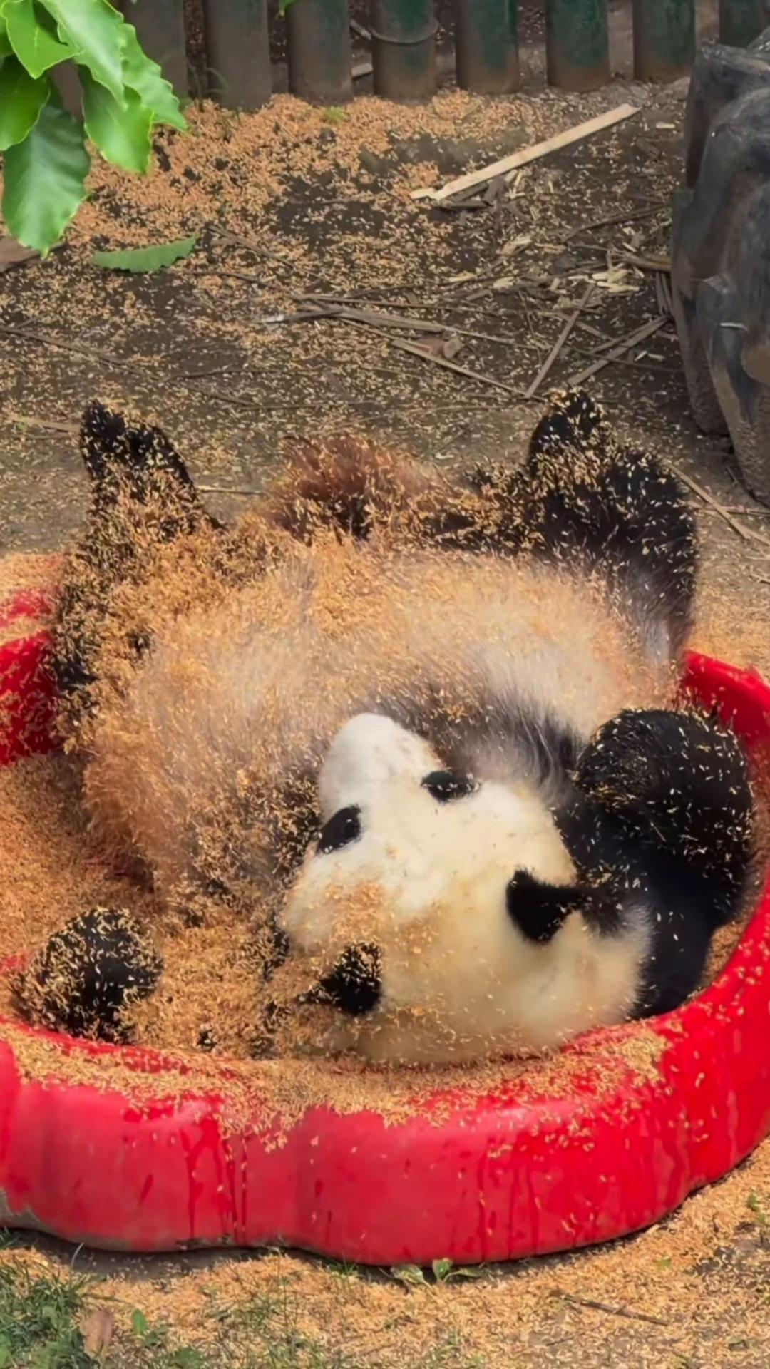 @My Daily Dose of Aww