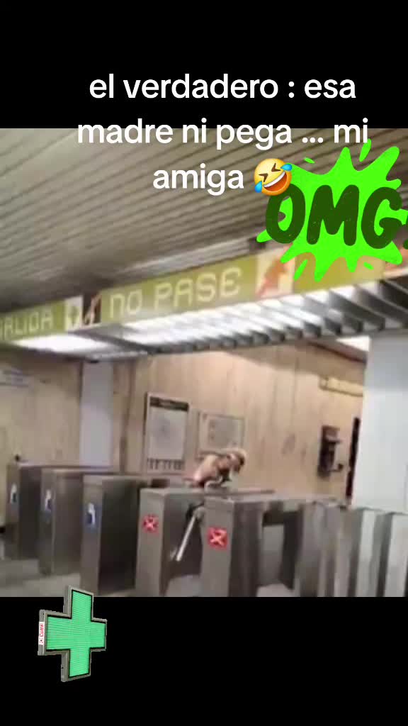 @G .. maldonado