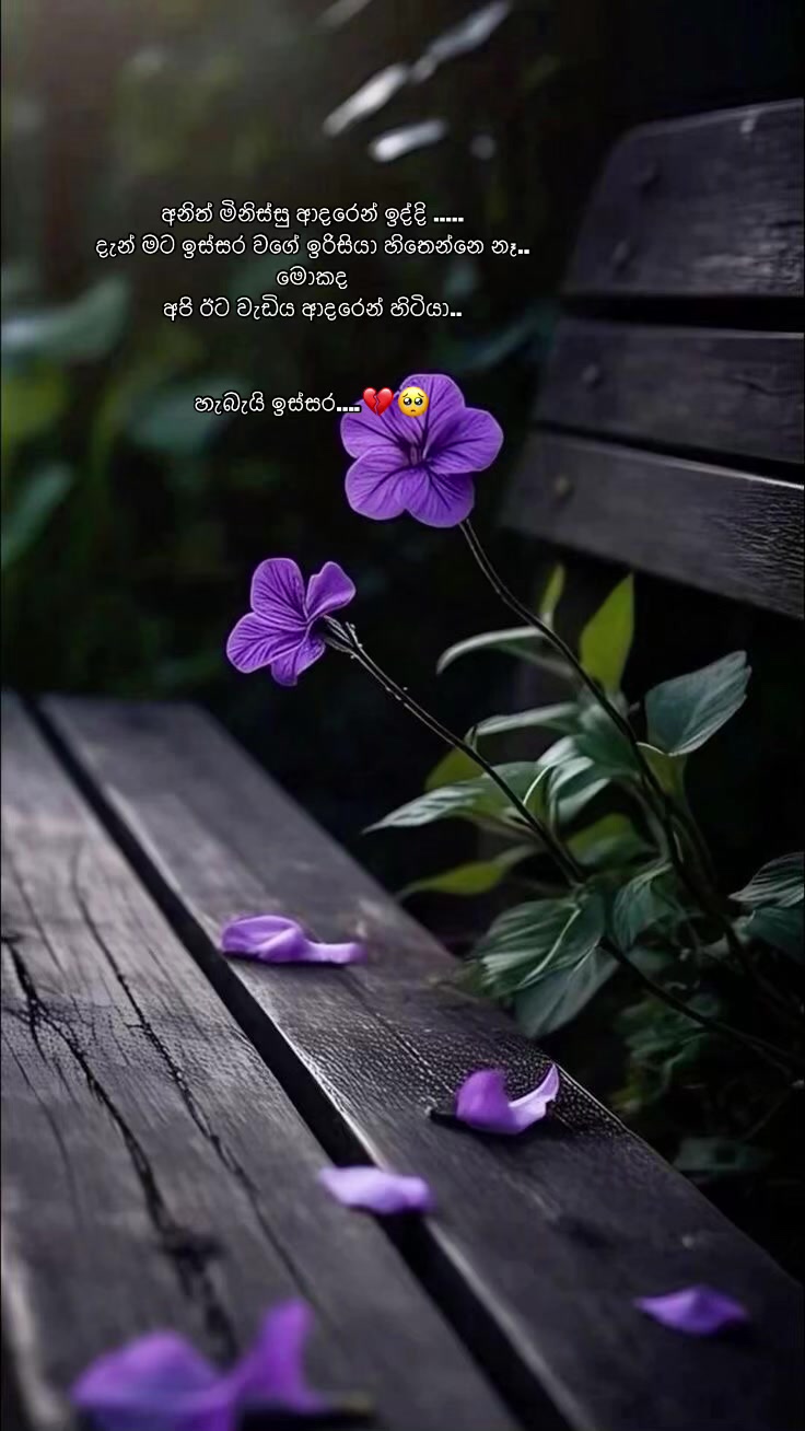 @Nethu Liyanage🌸
