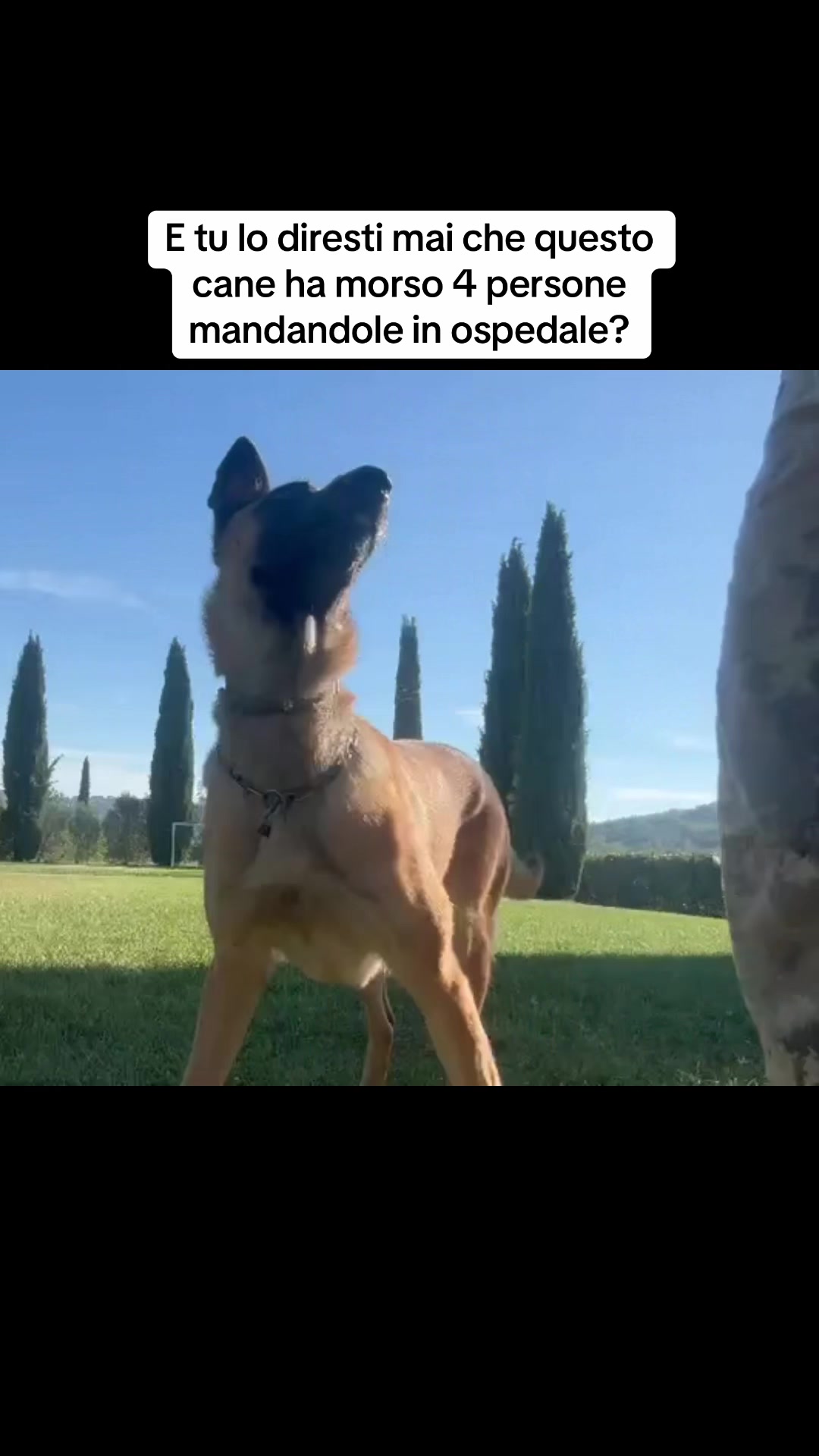 @Edopit94