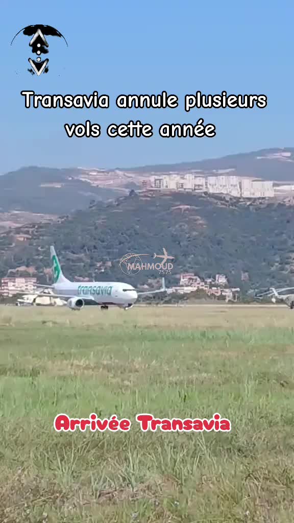 @MAMOUD 75💙🇩🇿