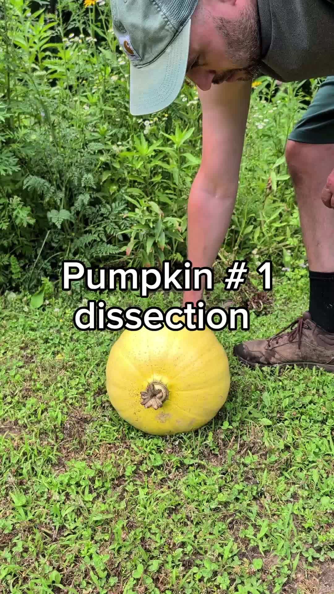 @bigpumpki