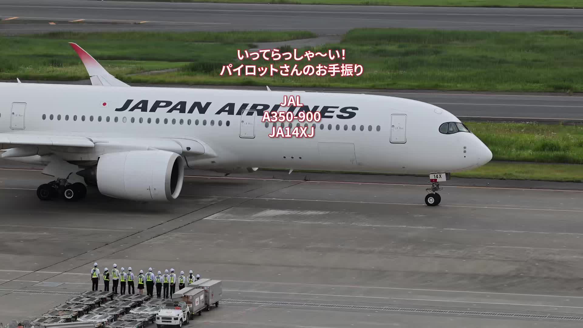 @Skyline だ〜はね|Haneda Airport ✈️