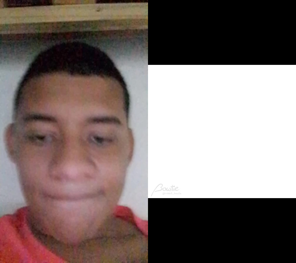 @Lucas Vicente De Silva