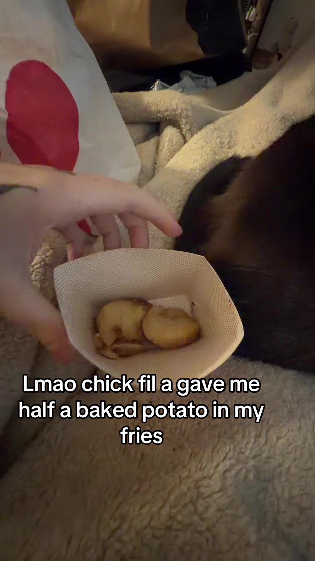 @maowmaowwwww