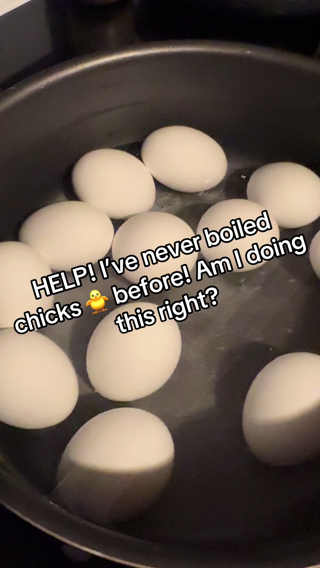 @zpookyghostboi